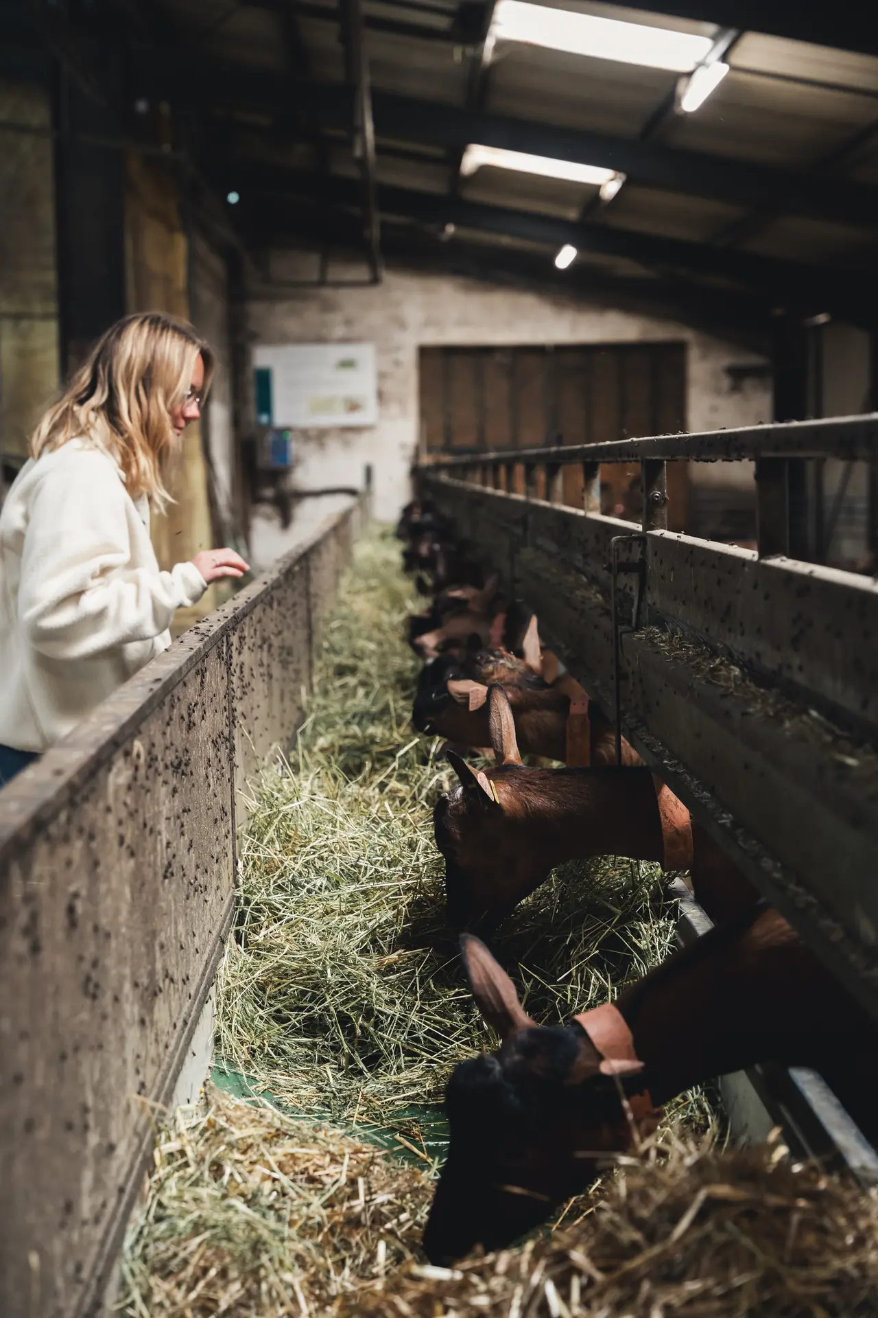 Visite_de_La_Borie_d_Imbert_a_Rocamadour-Leon_le_Daron-4721