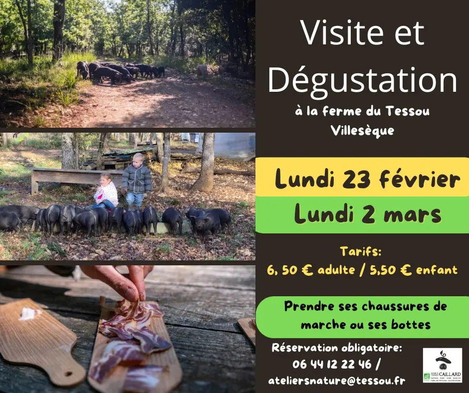 Visites et dégustation - 3