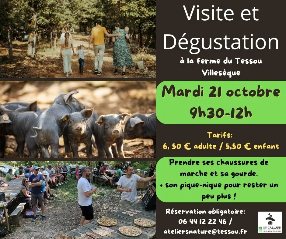 Visites et dégustation - 1