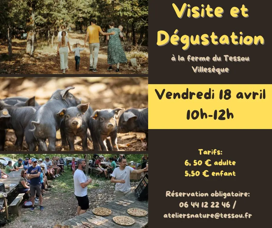Visites et dégustation - 1