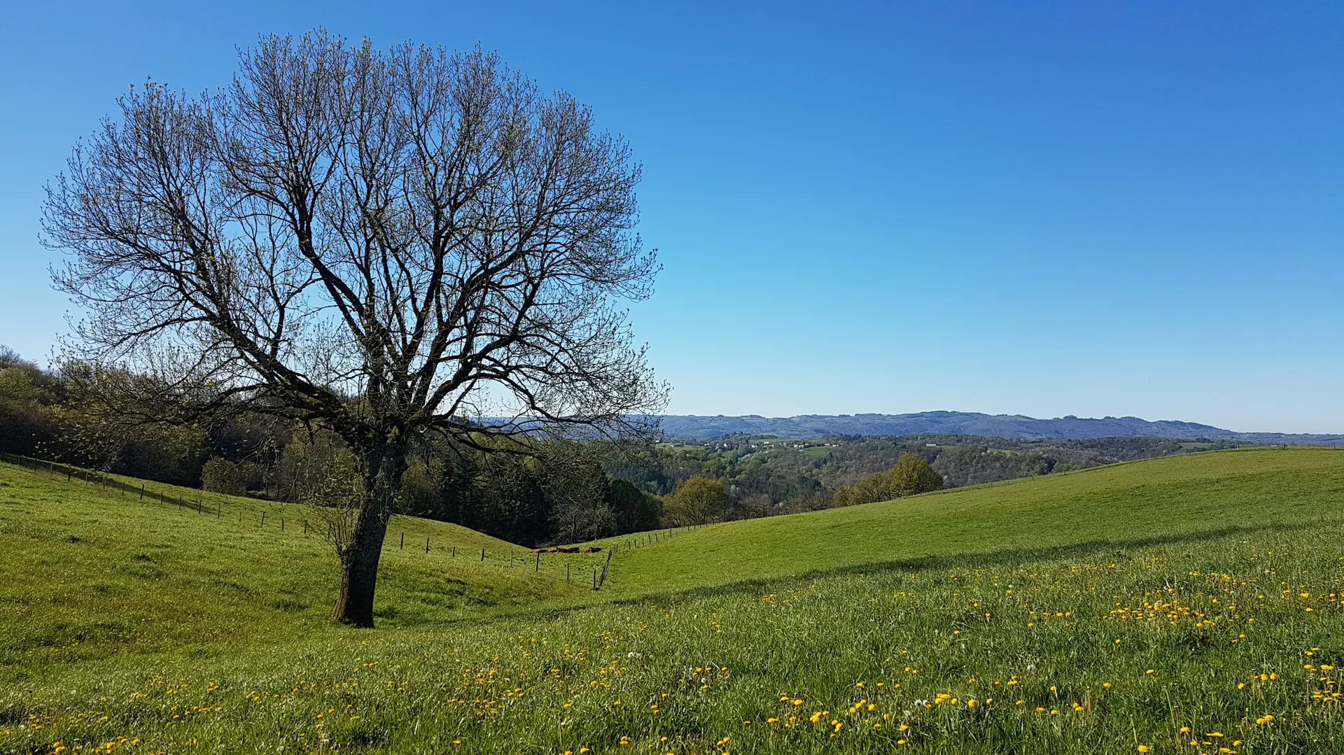 Vue le Ségala environnant