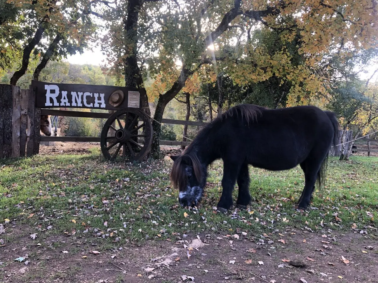Westone Family's Ranch photos