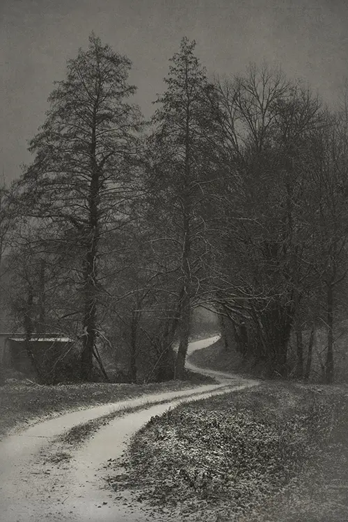 White Track