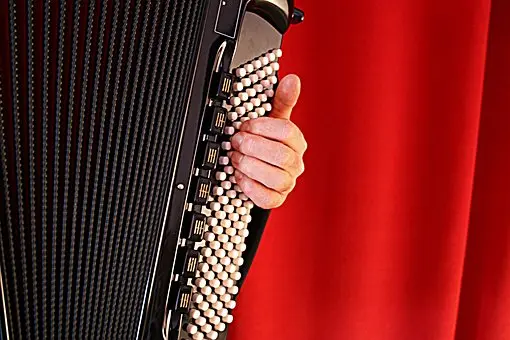 accordion-3562843__340