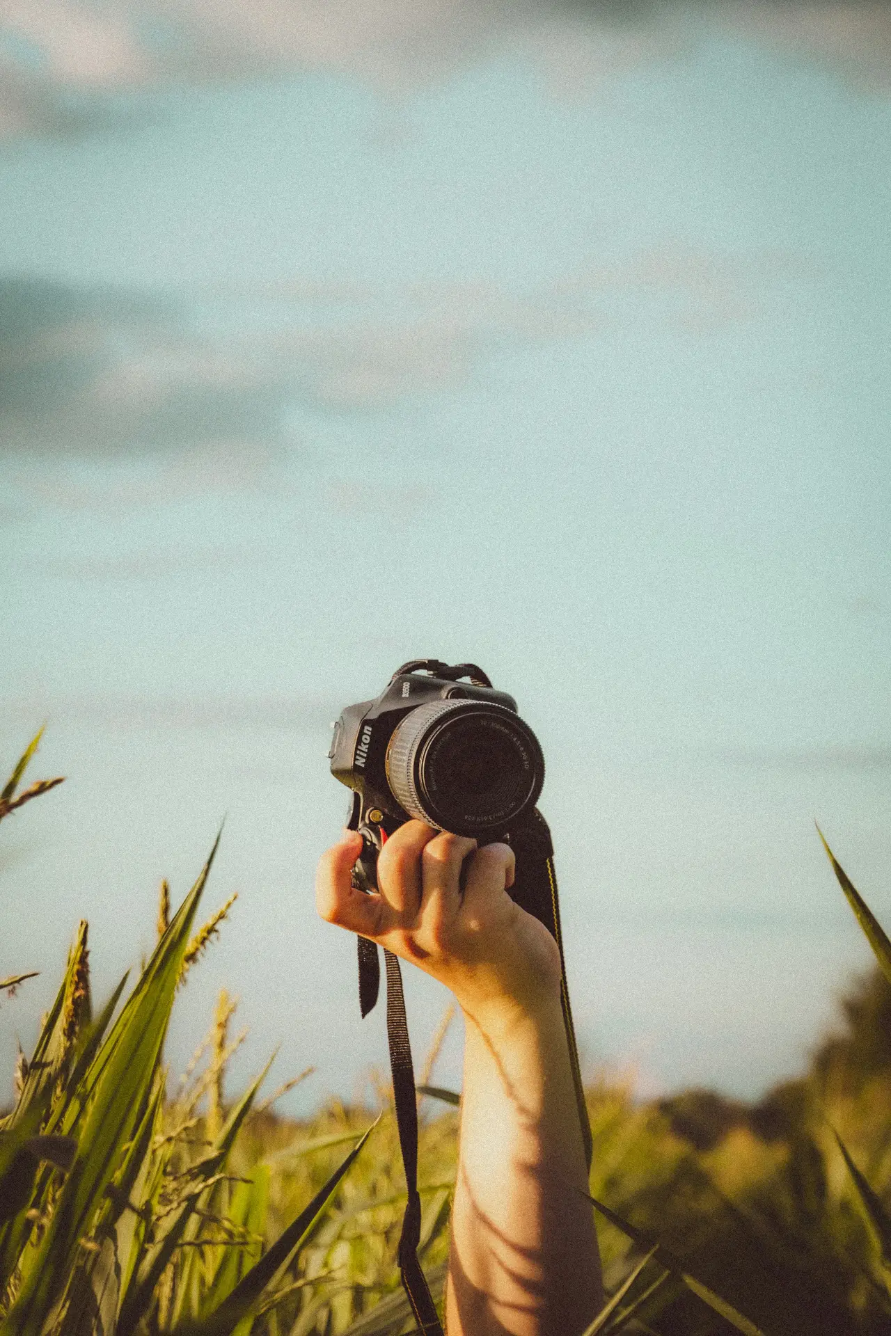 adam-hamel-MgmfPmixwE4-unsplash