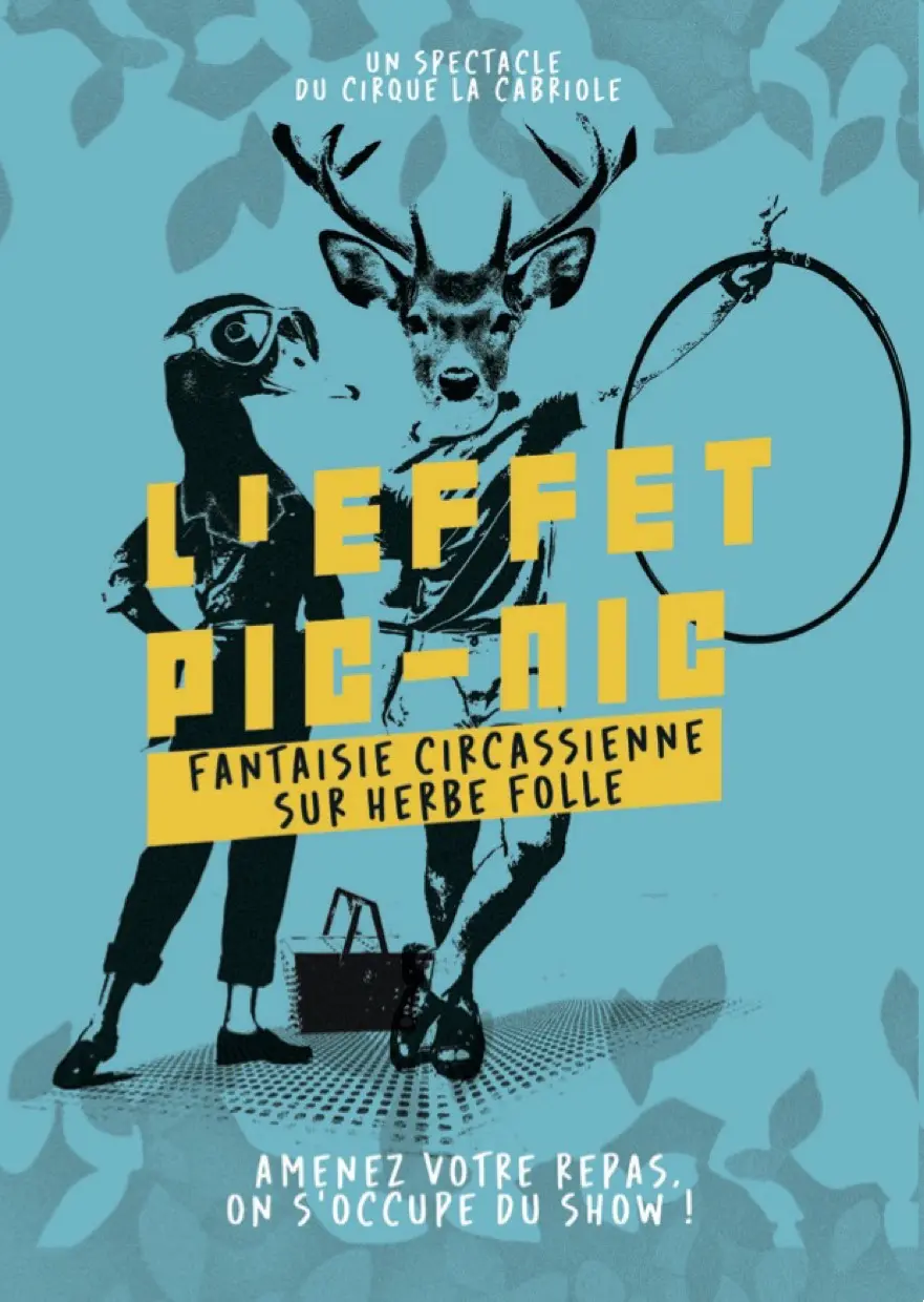affiche effet picnic