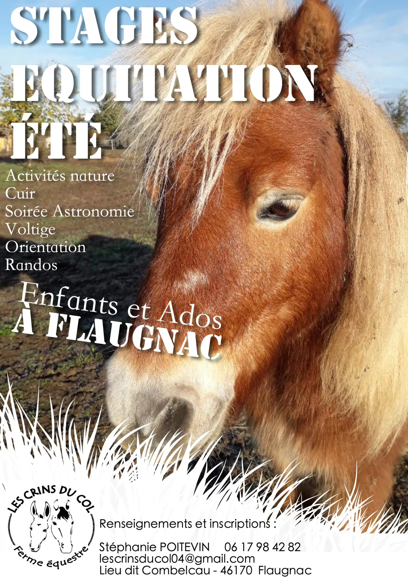 affiche-stage-equitation-2-scaled