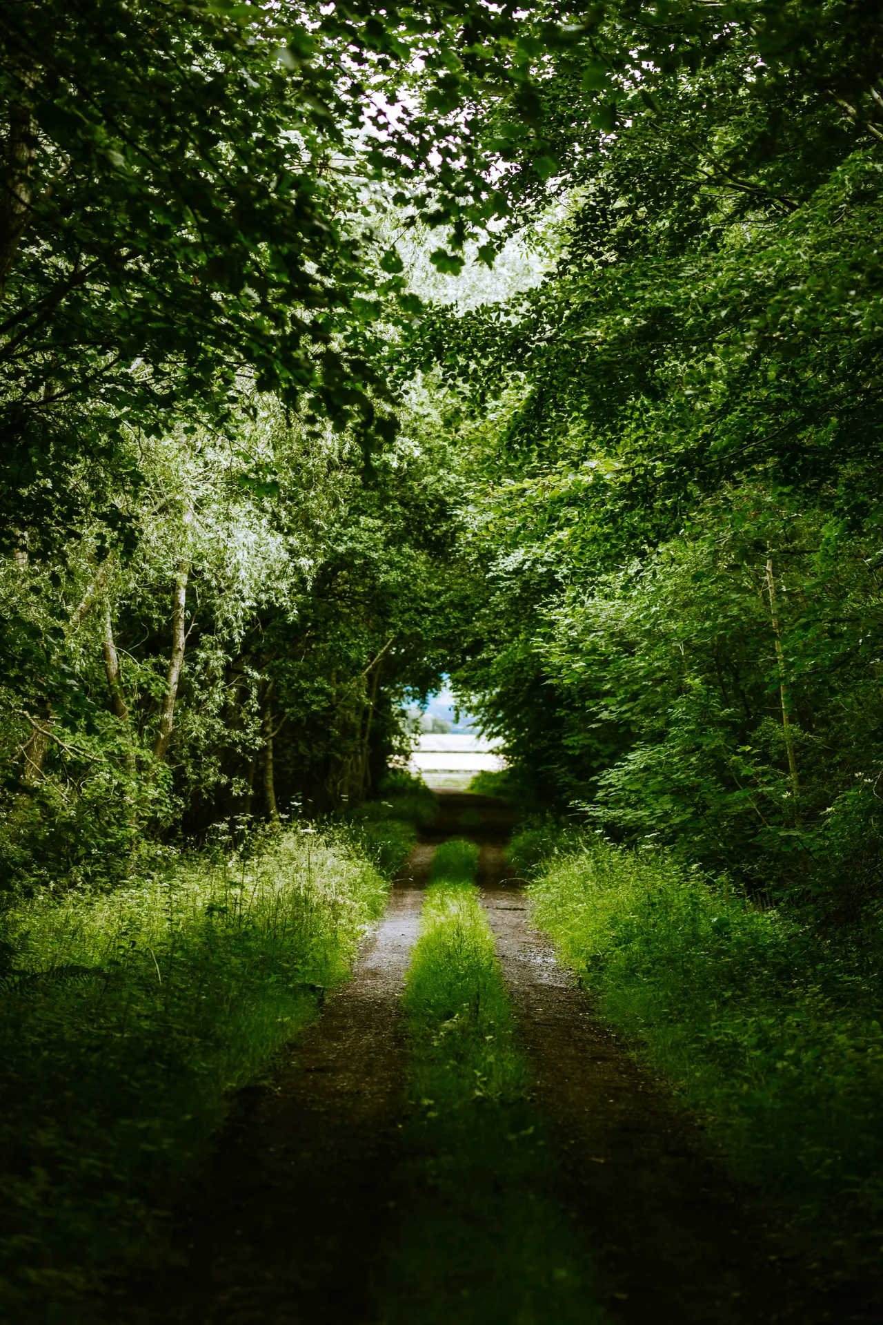 aleksandra-boguslawska-zONYLdEJ65o-unsplash