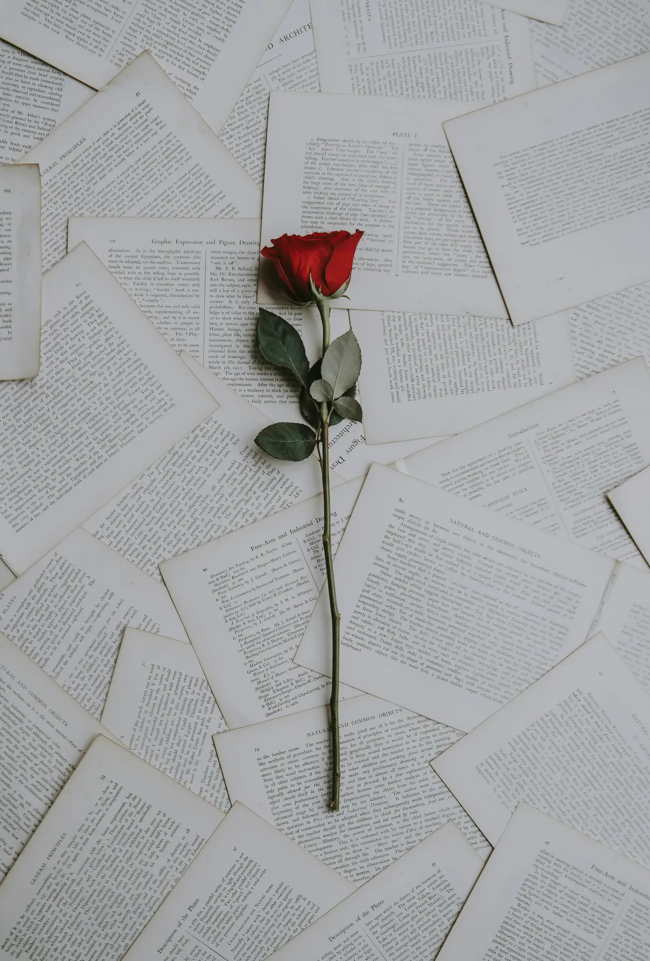 Lettres d'Amour