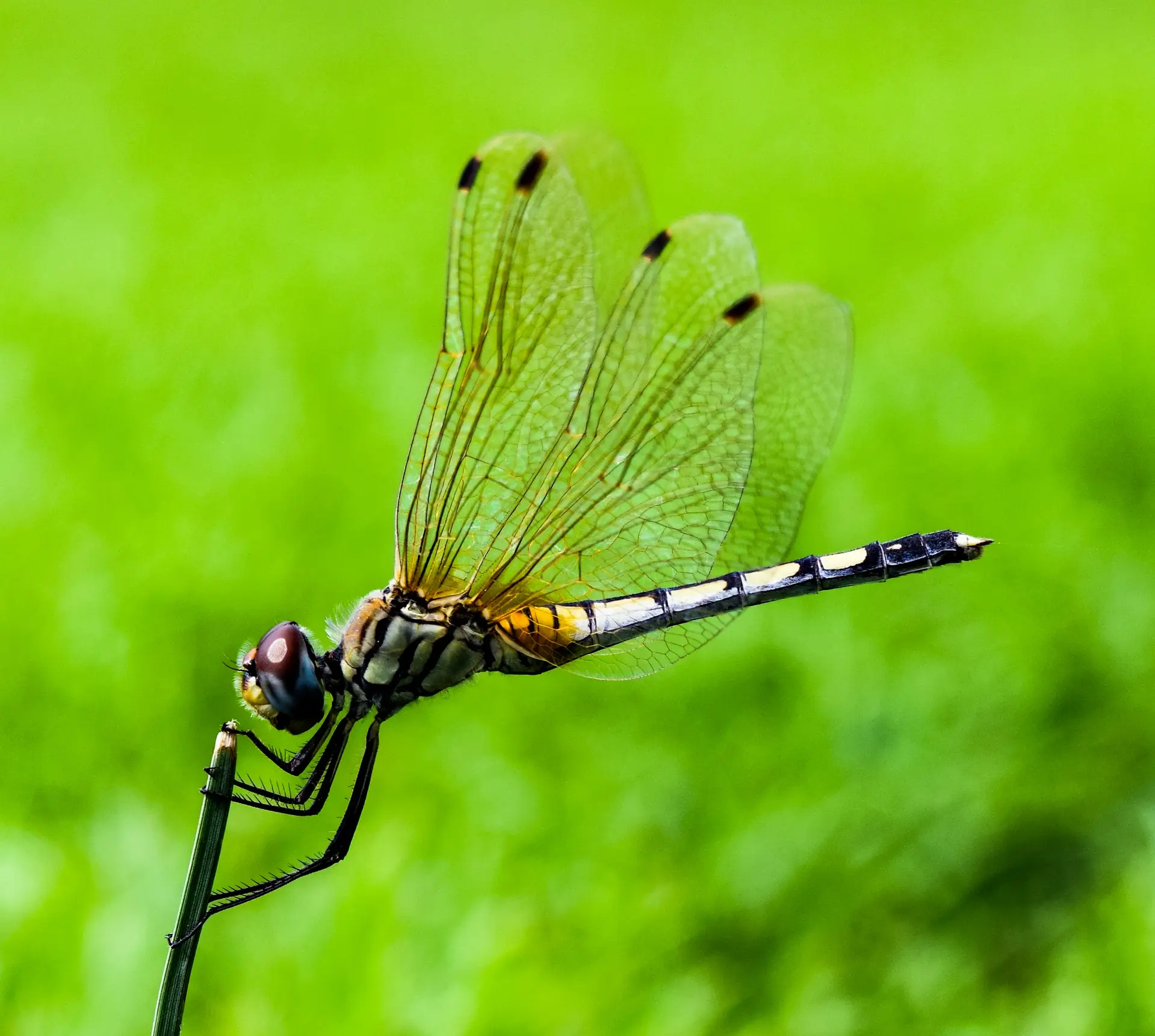 ashish-khanna-8PvvhZyQpYg-unsplash