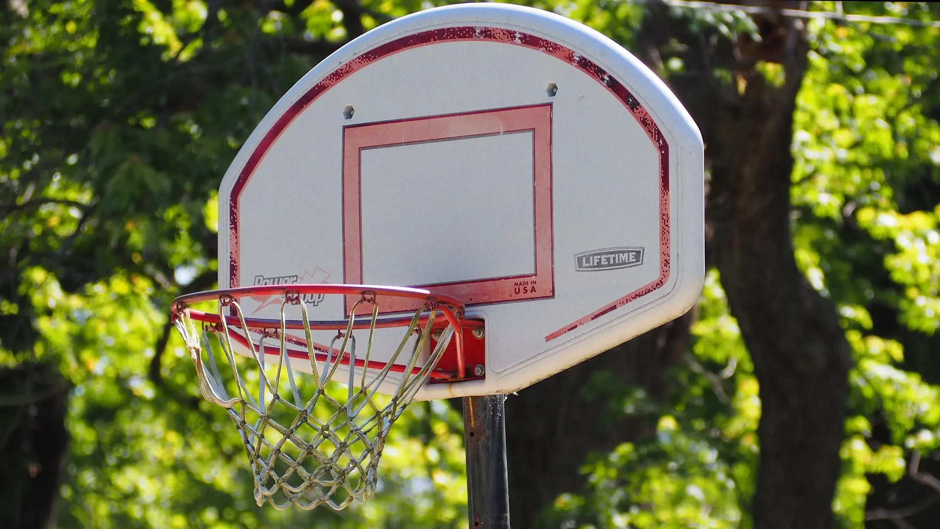 basket