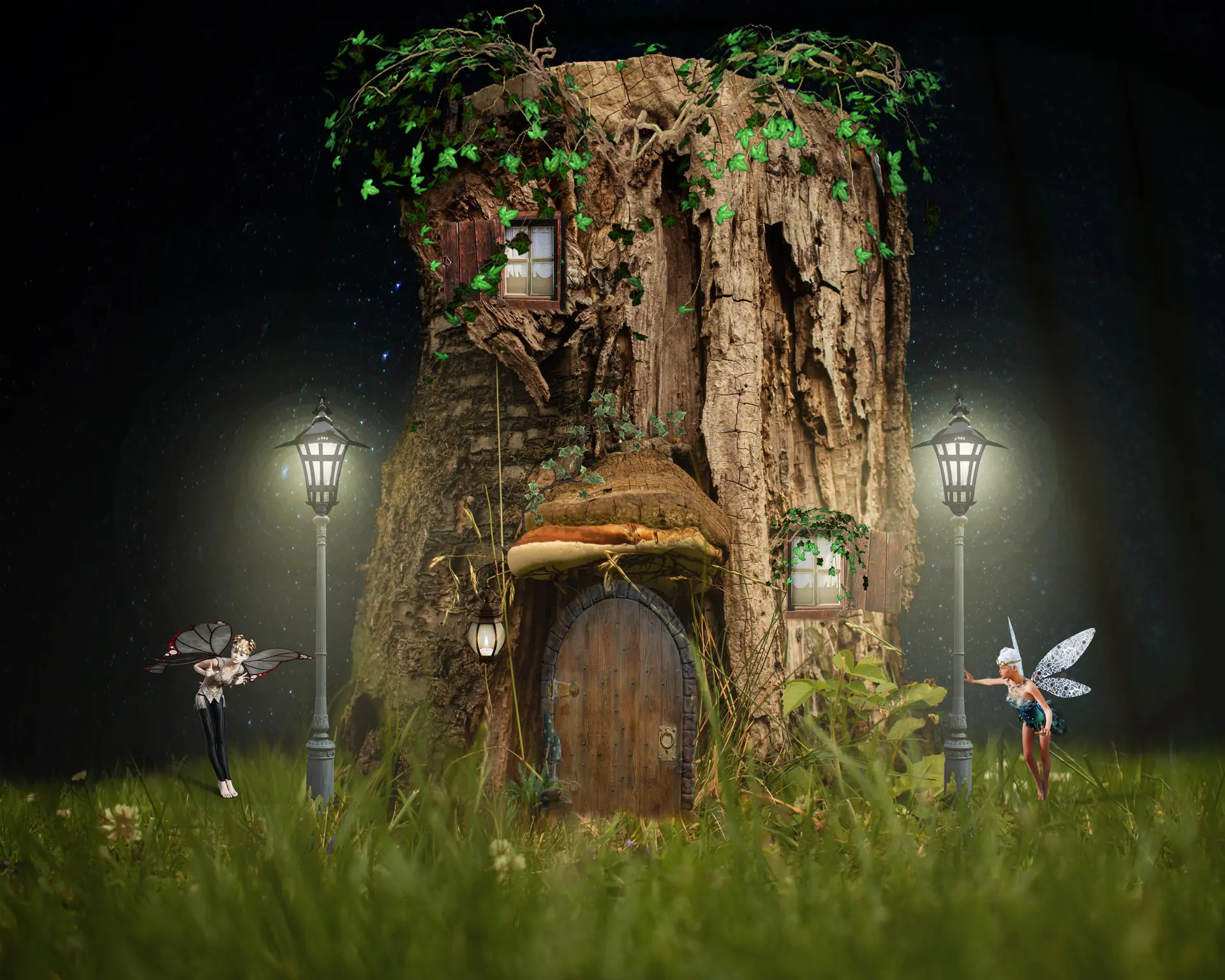 Maison des fées