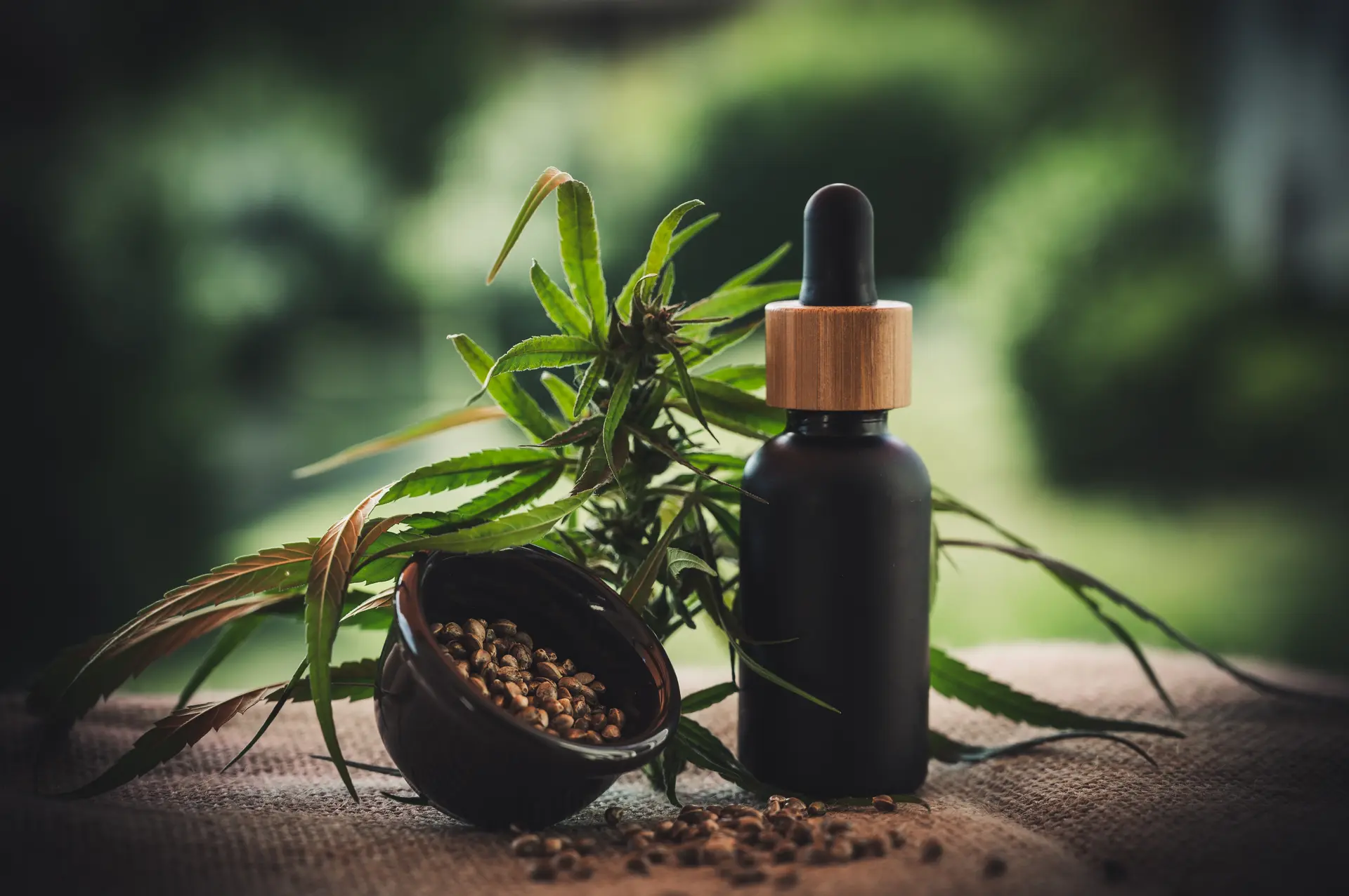 cbd-infos-com-cbd-4474897