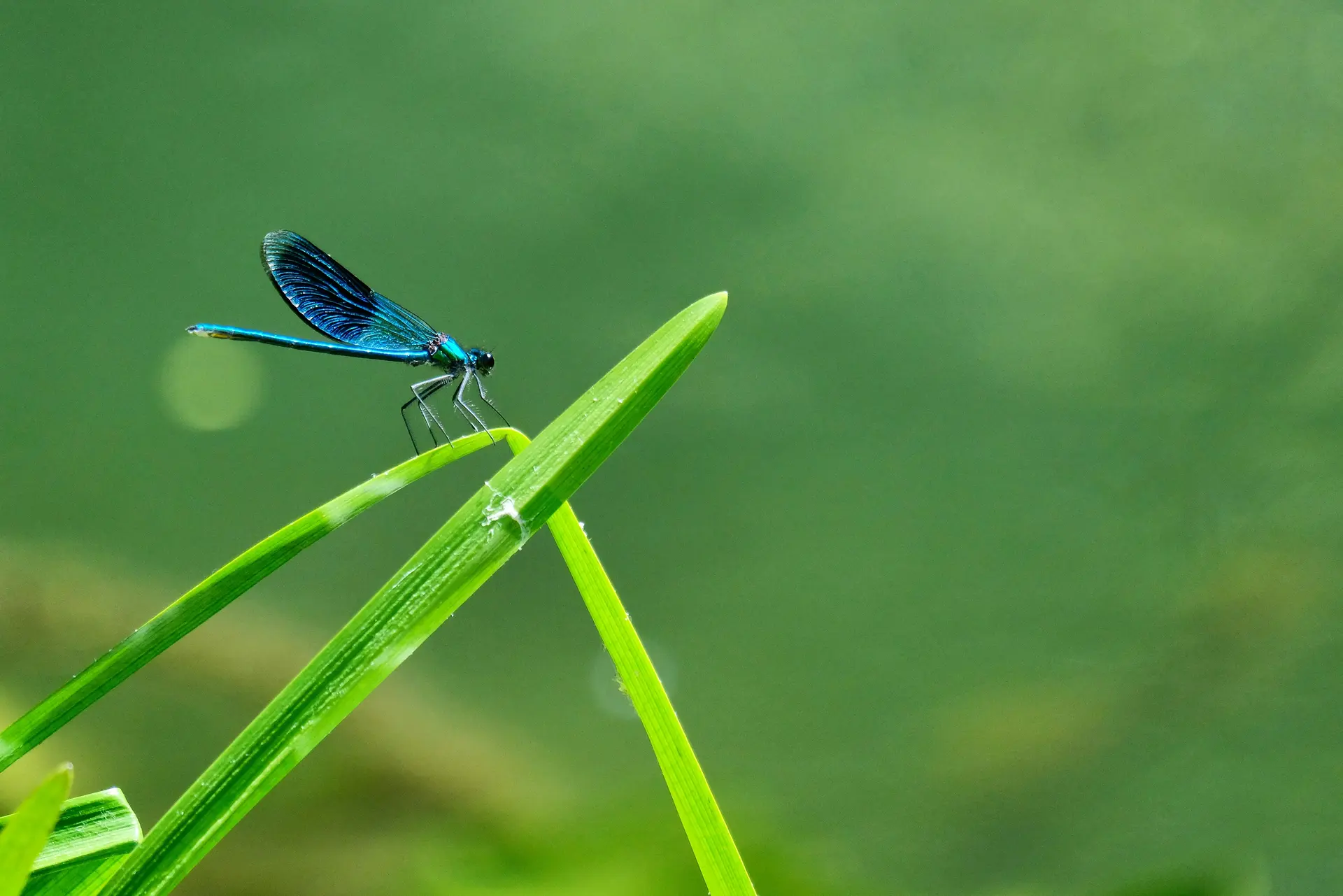 clement-falize-b3JEZYlckMc-unsplash