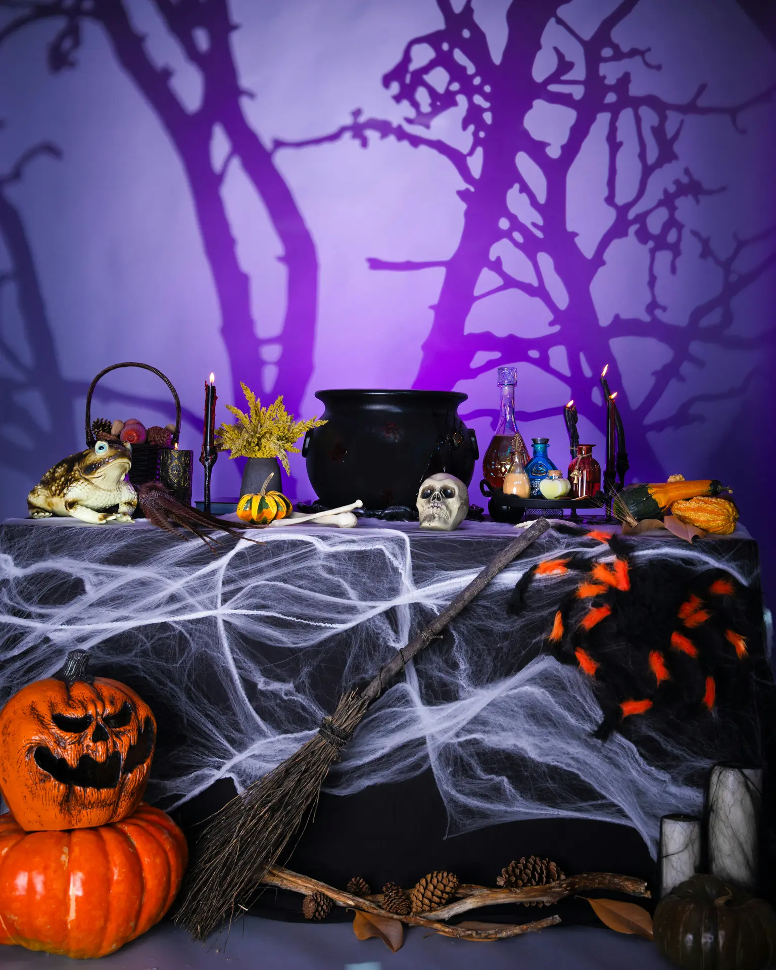 dima-kaleganov-wo3Rw66TfNg-unsplash (1)