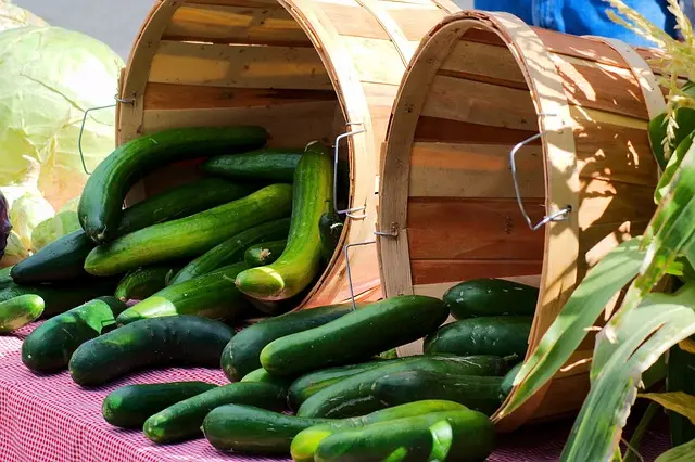 farmers-market-cucumbers-3858540_640