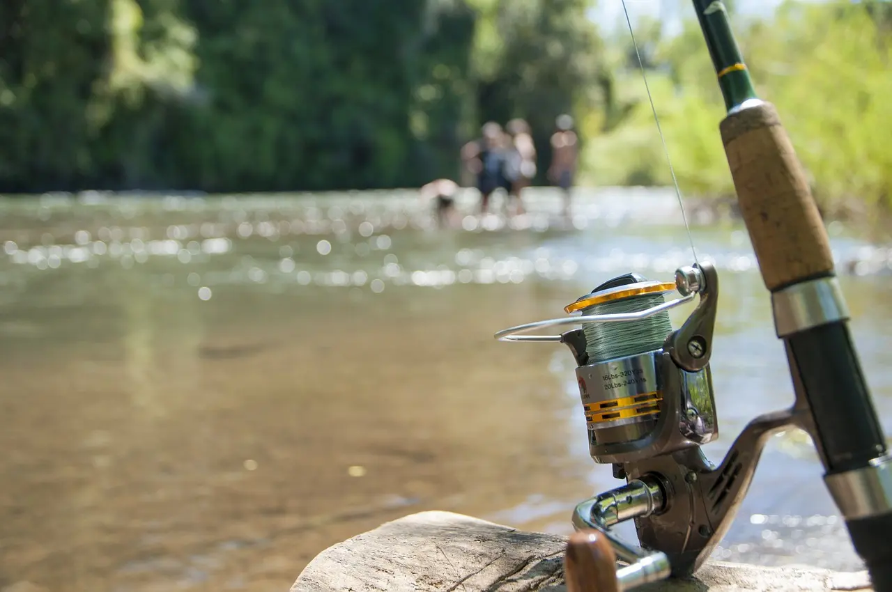 fishing-2948694_1280
