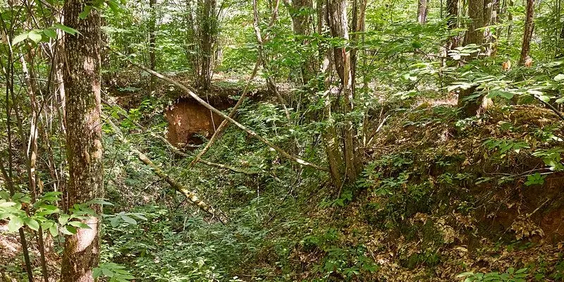 forêt vallée de la masse
