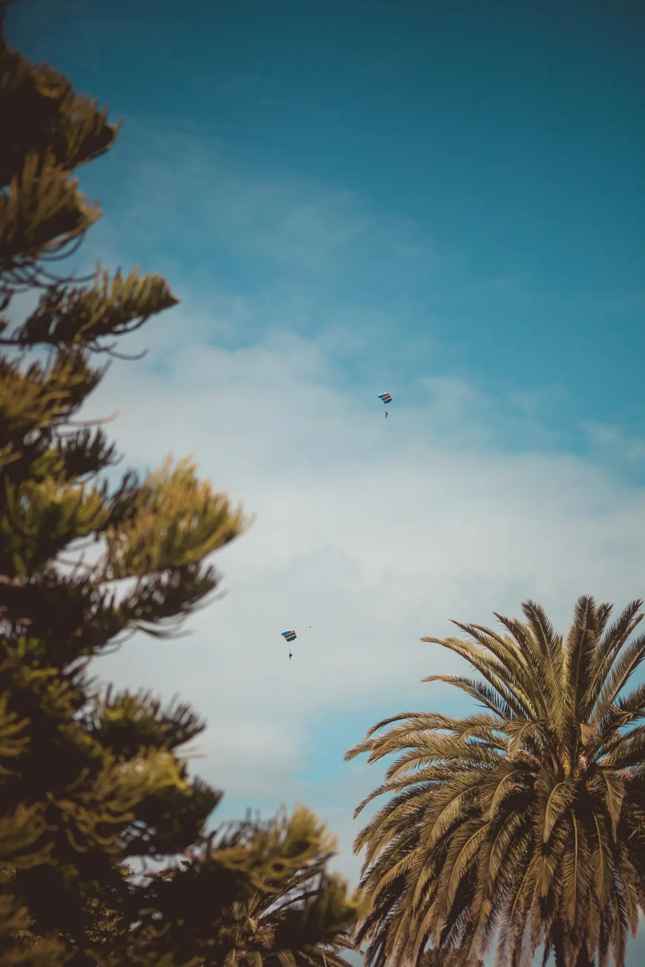 parachute