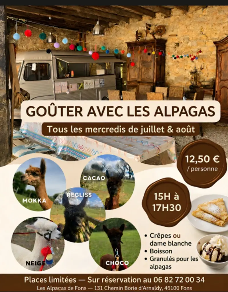 goûter avec les alpagas fons 2