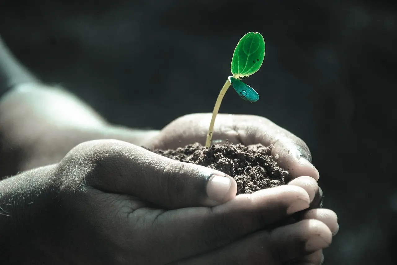 BOURSE AUX PLANTES