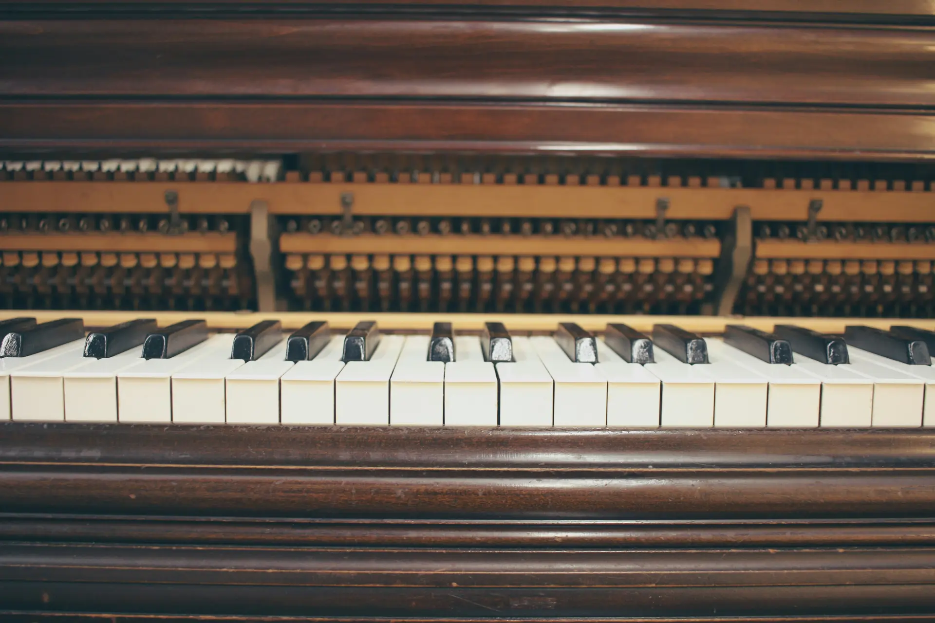 hal-gatewood-6lUs_7NVcZQ-unsplash