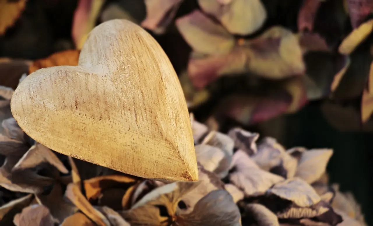 heart-2945403_1280