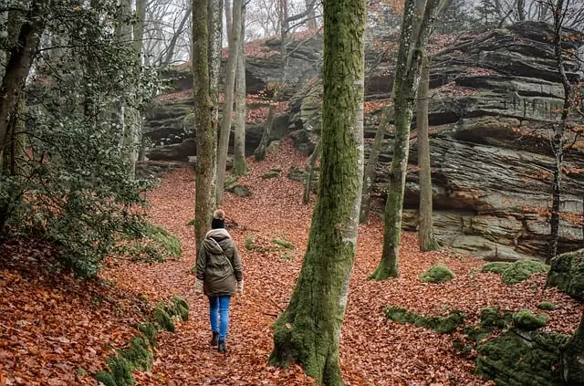 hiking-7667621_640