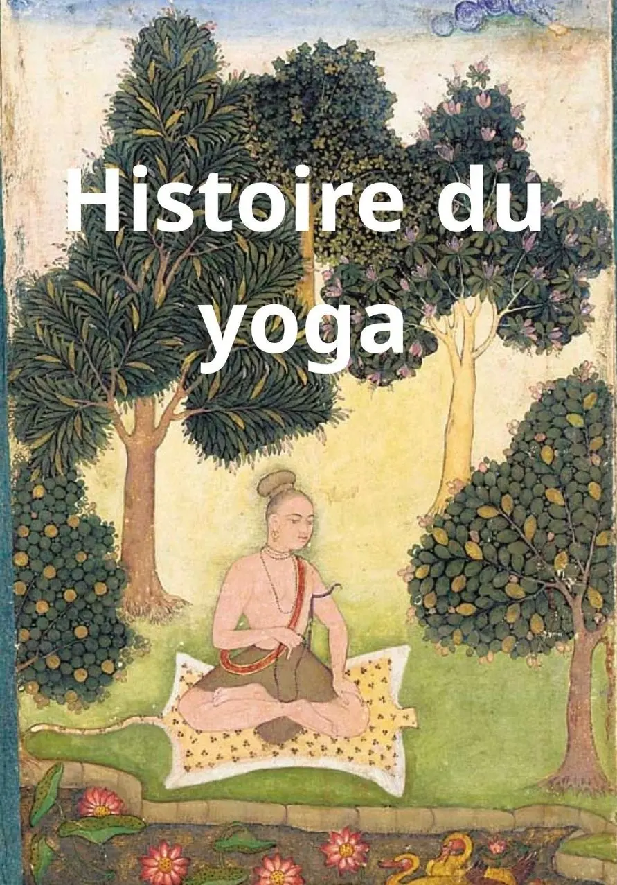 conférence histoire-du-yoga
