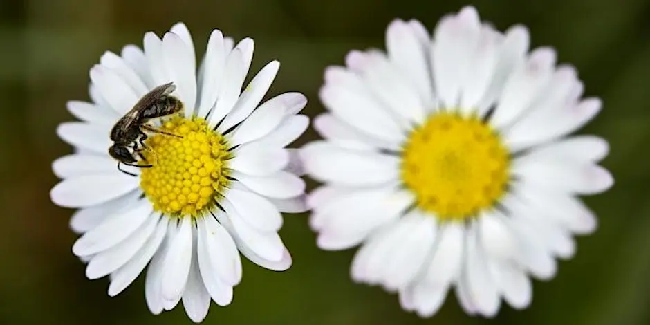 https___cdn.evbuc.com_images_479262529_906652026053_1_original