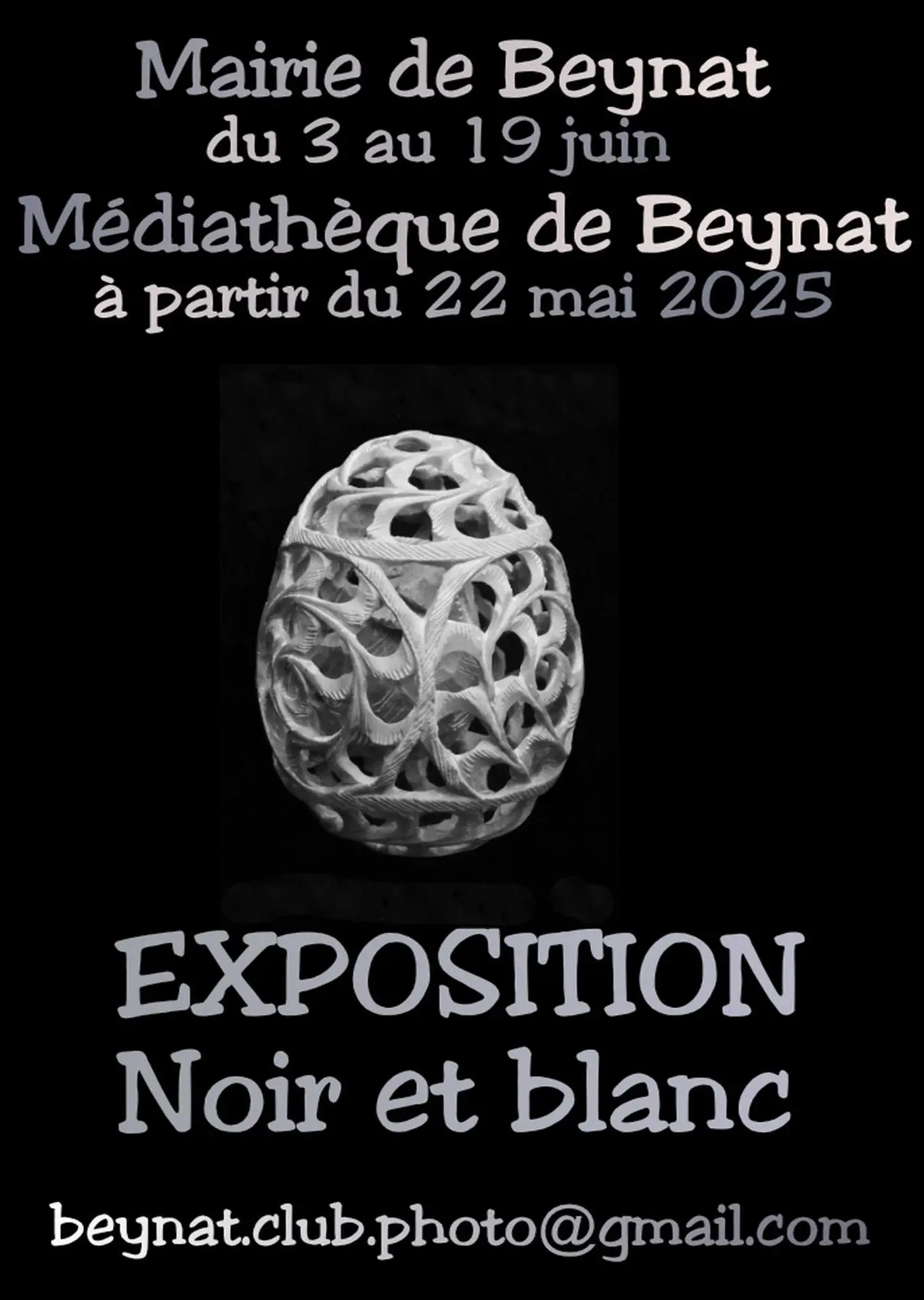 image (13)