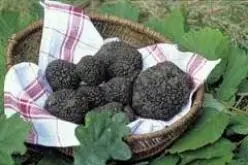 Plaisirs et saveurs