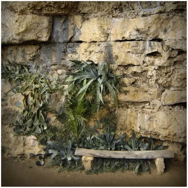 jardinlarroque2015