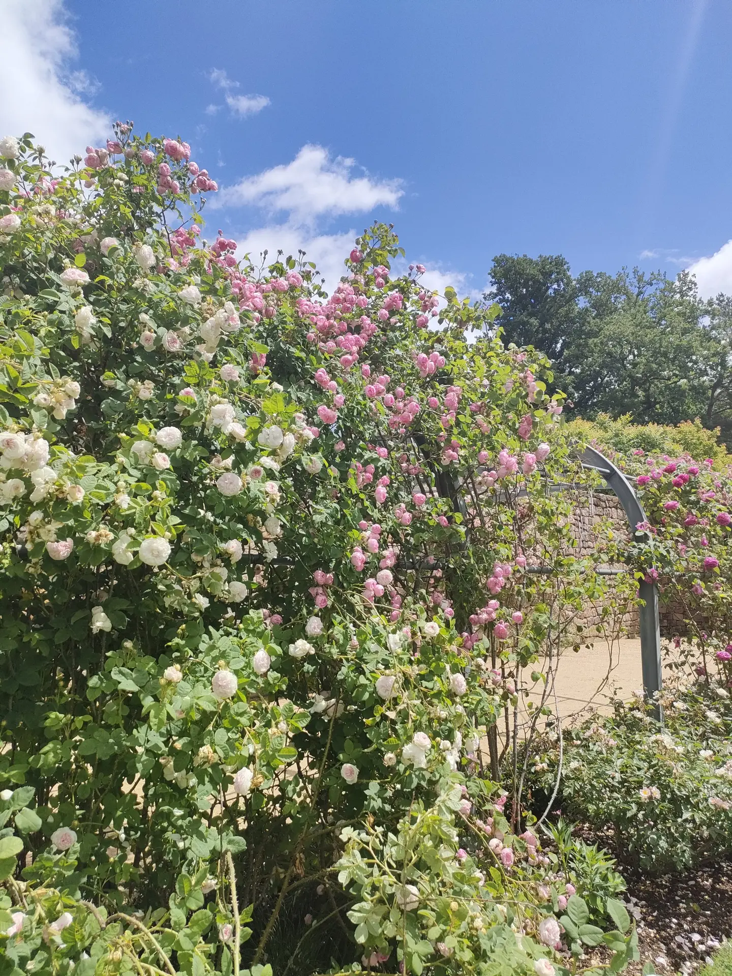 Jardins Sothys