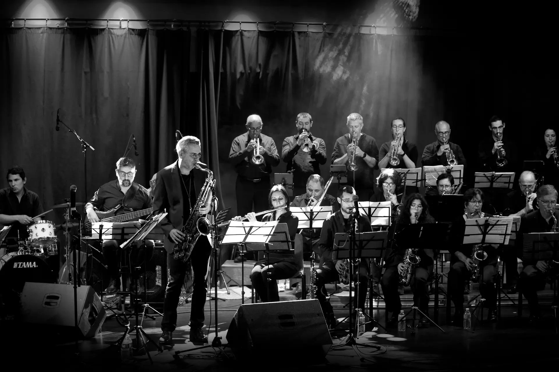 jazz band tulle