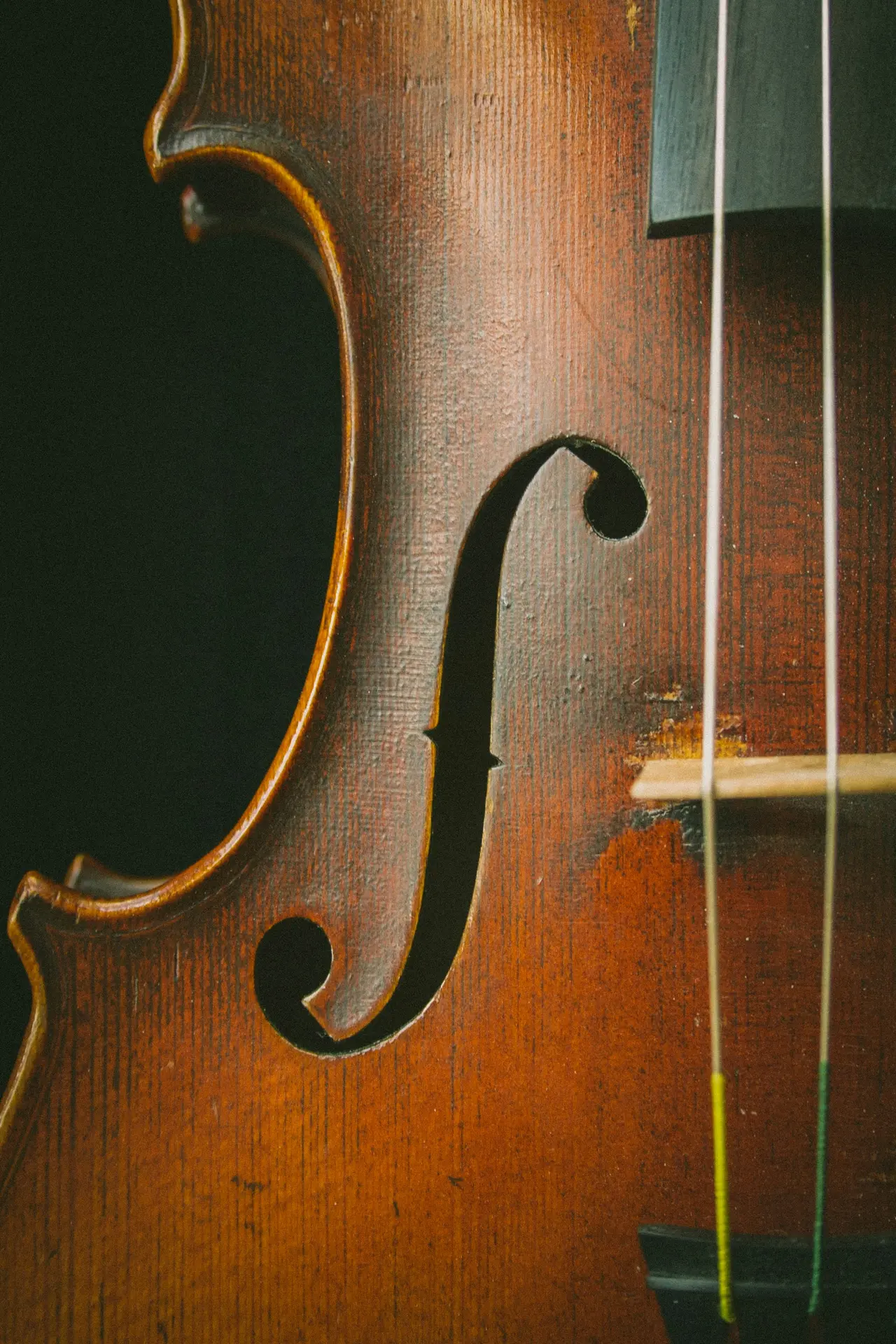 Violoncelle