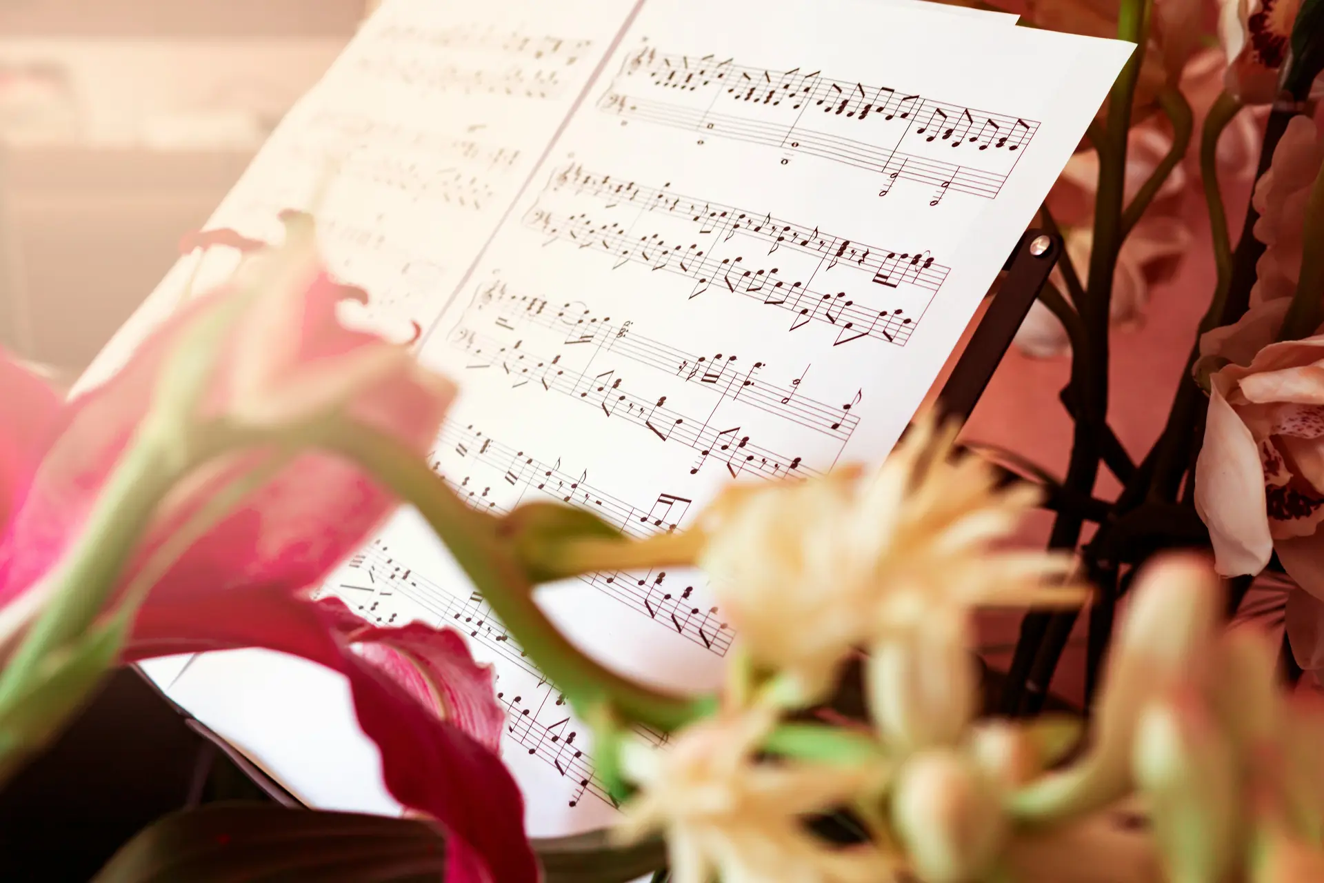 lecture musique