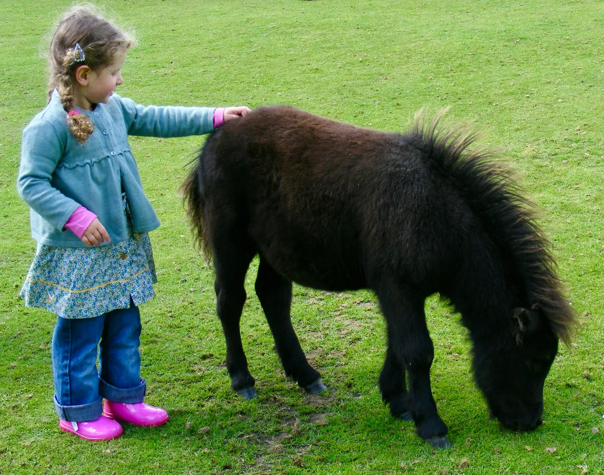 laura-marks-fcOMeeuORgE-unsplash