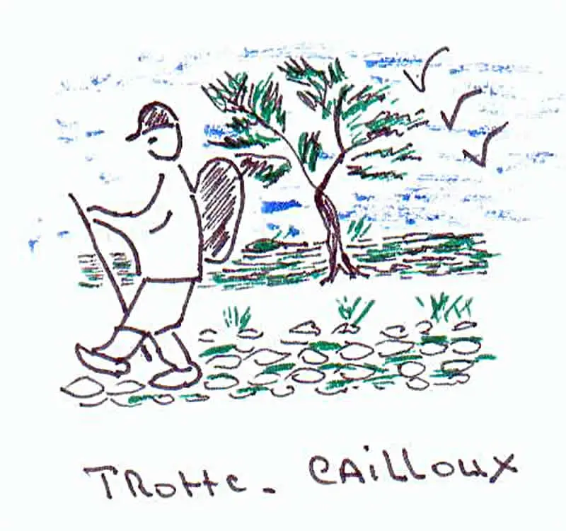 logo-trotte-cailloux-3