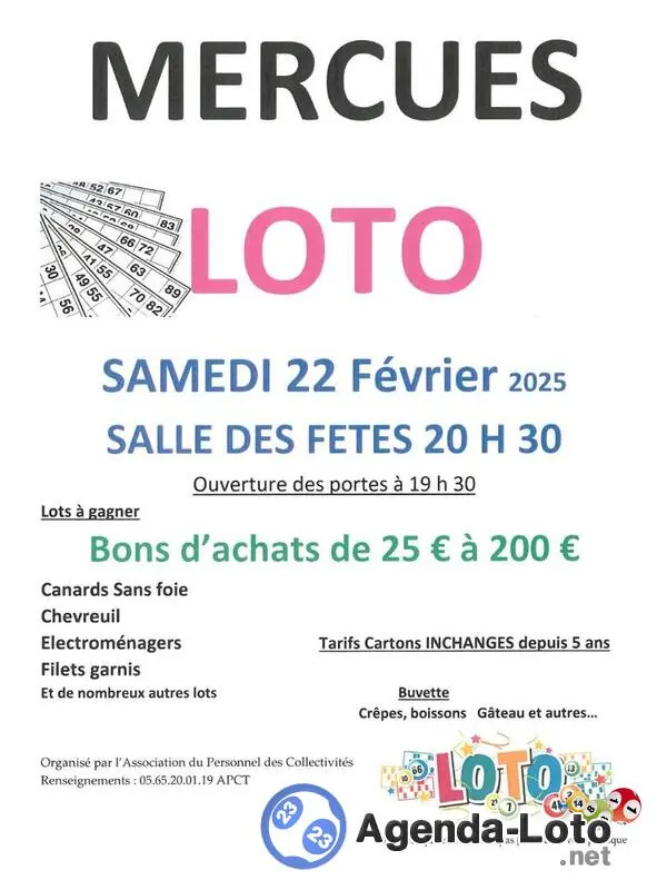 loto-Mercues-46