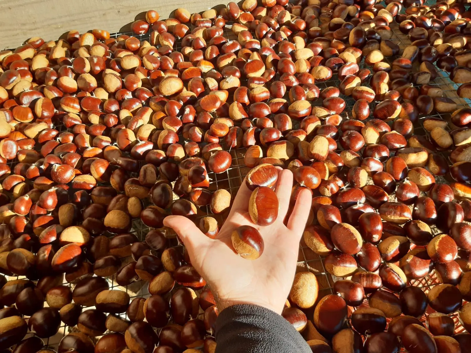 La ferme de Louisotte