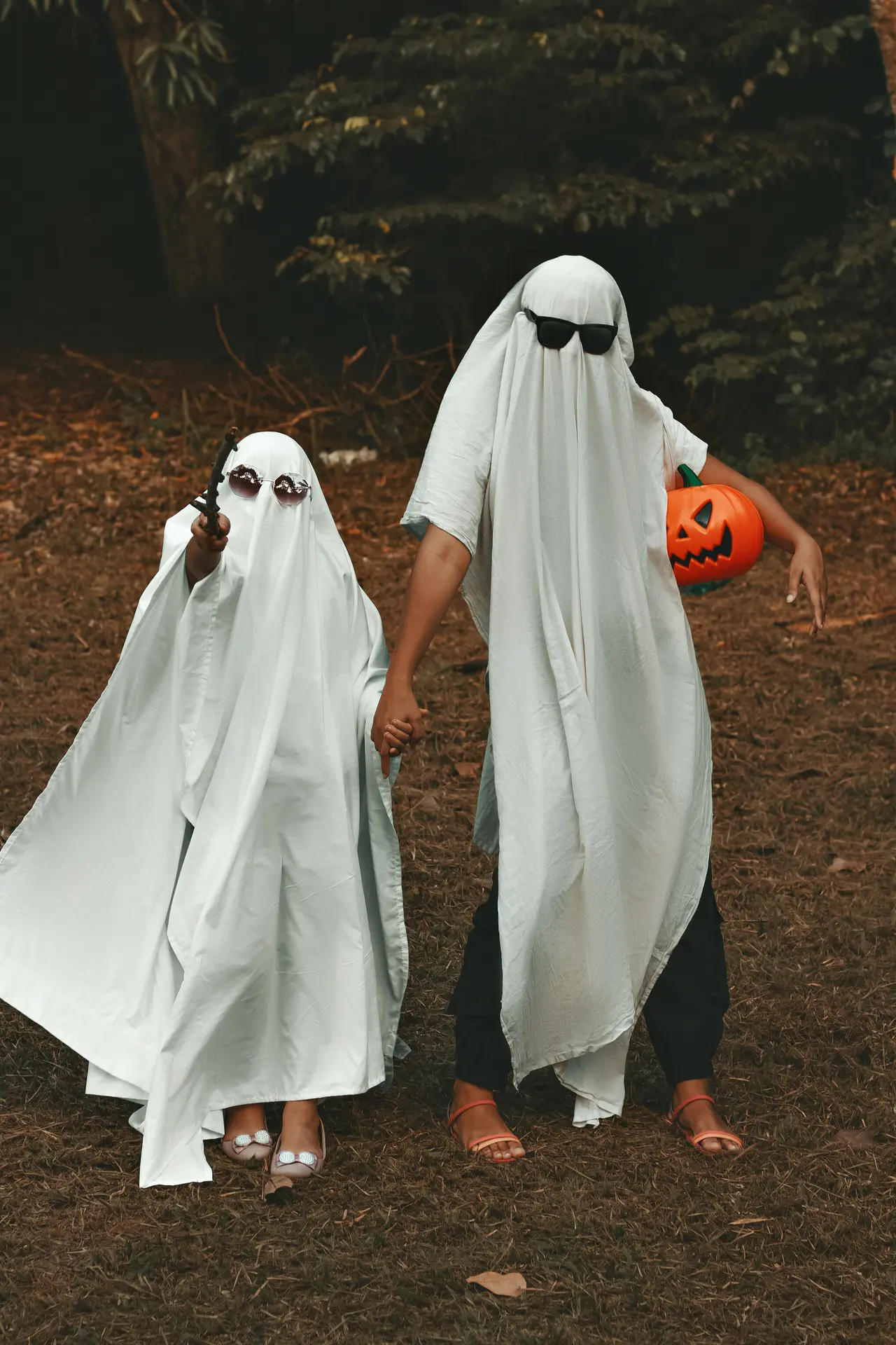 lucas-andrade-jjkwJg5QZxo-unsplash