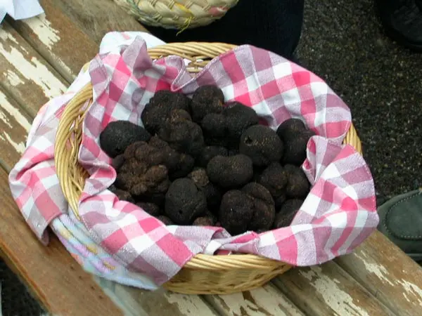 Marché aux truffes d'hiver à Limogne en quercy