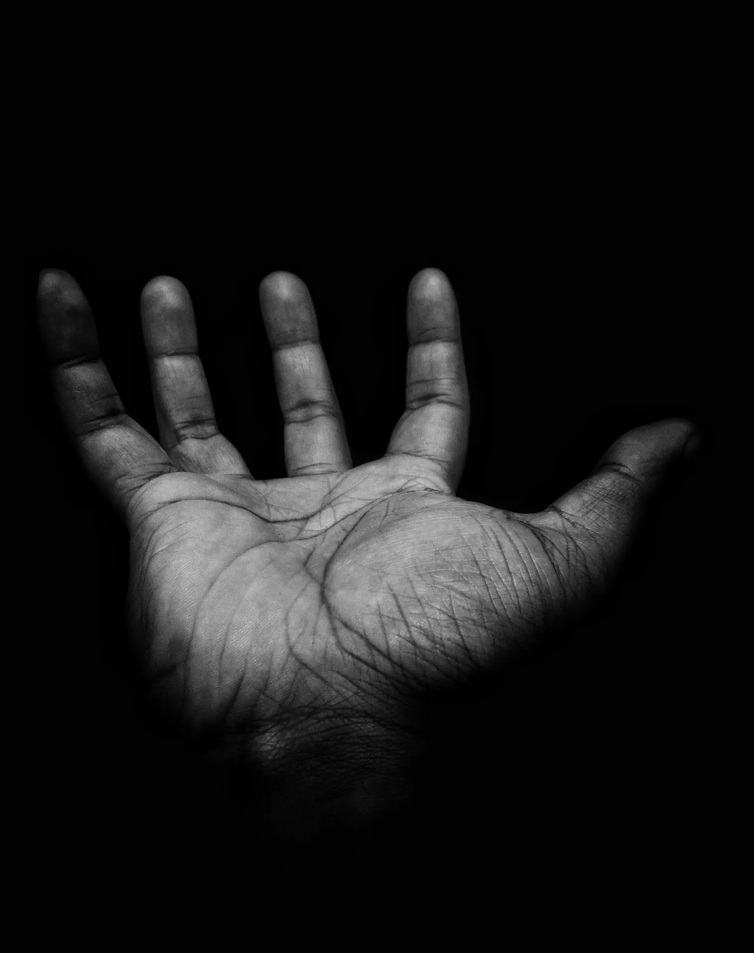 melchior-damu-IvTCN1H4X1k-unsplash
