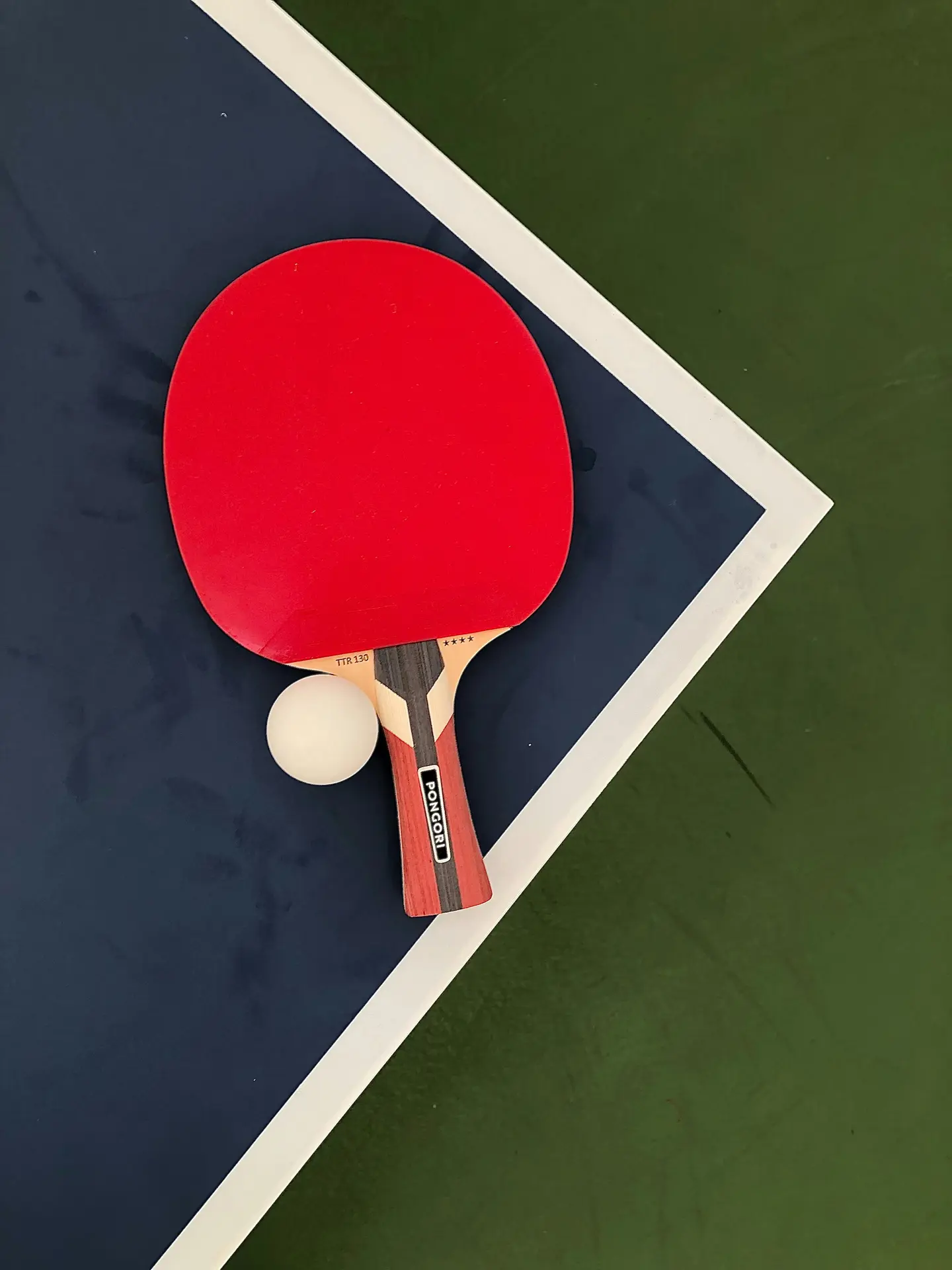 miniperde-dAYAex_vfAc-unsplash