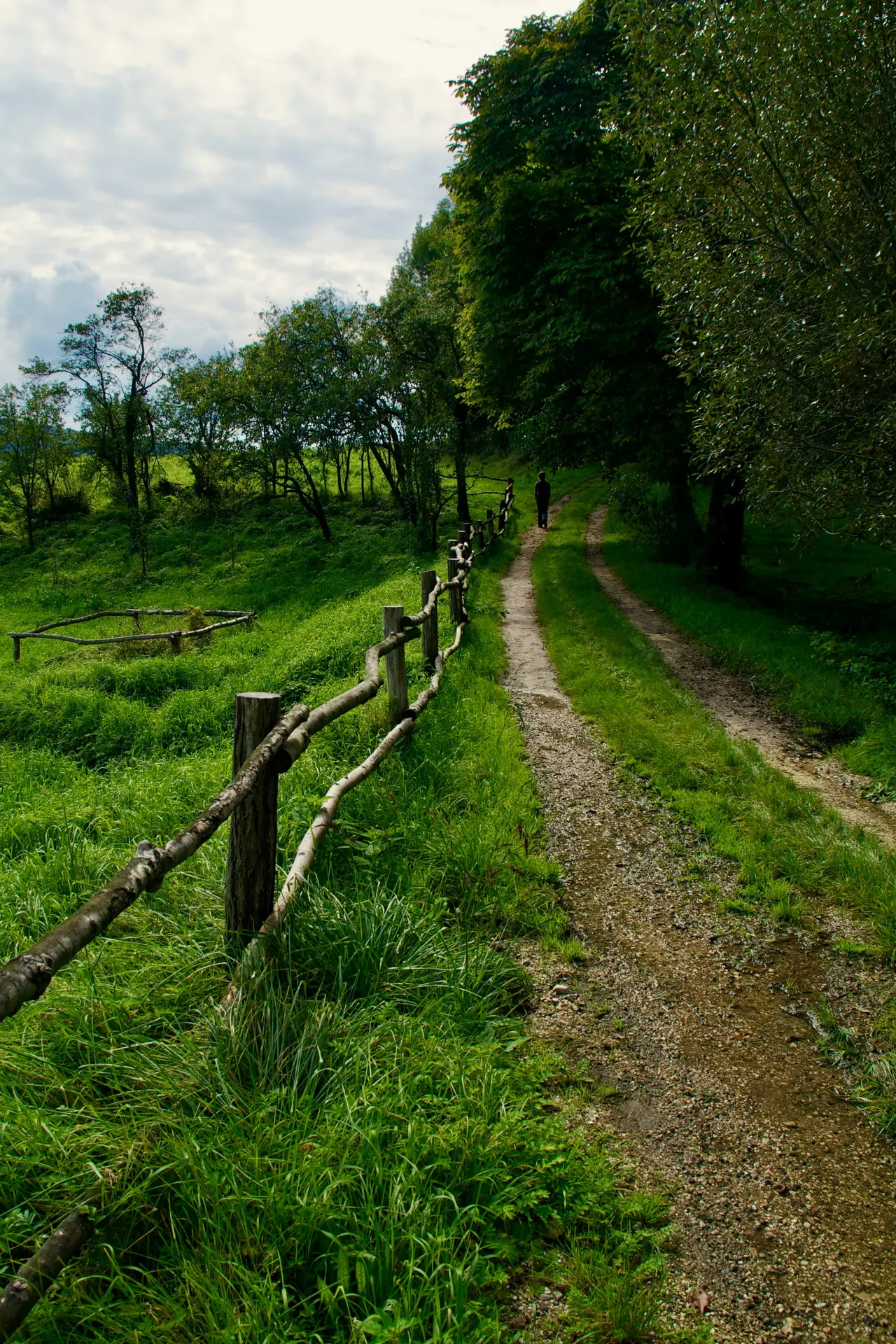 mihaly-koles-8UaCVJzFezA-unsplash