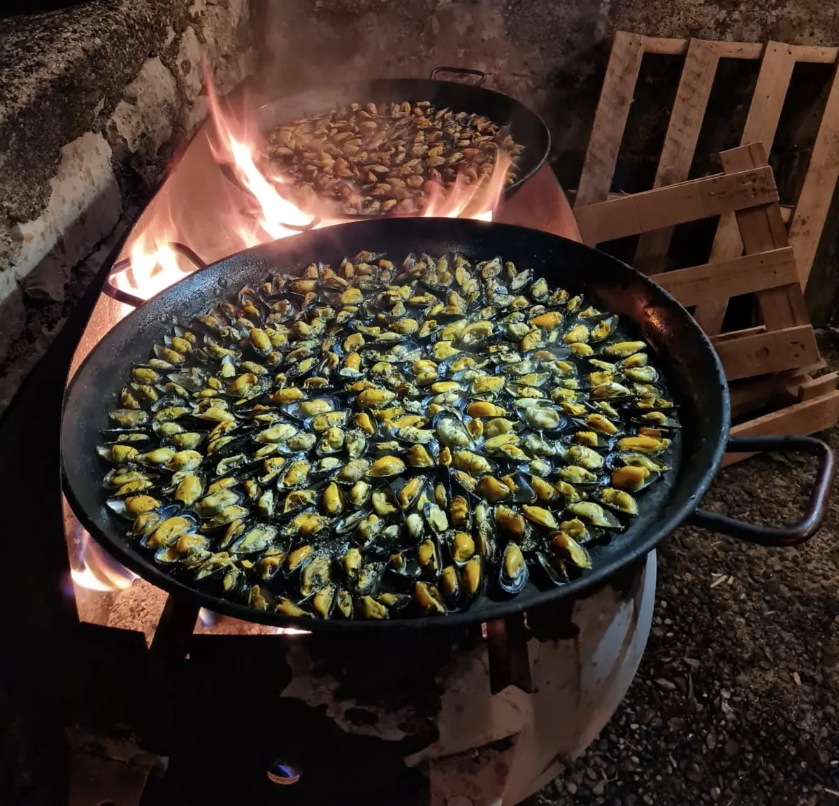 moules Brasucade