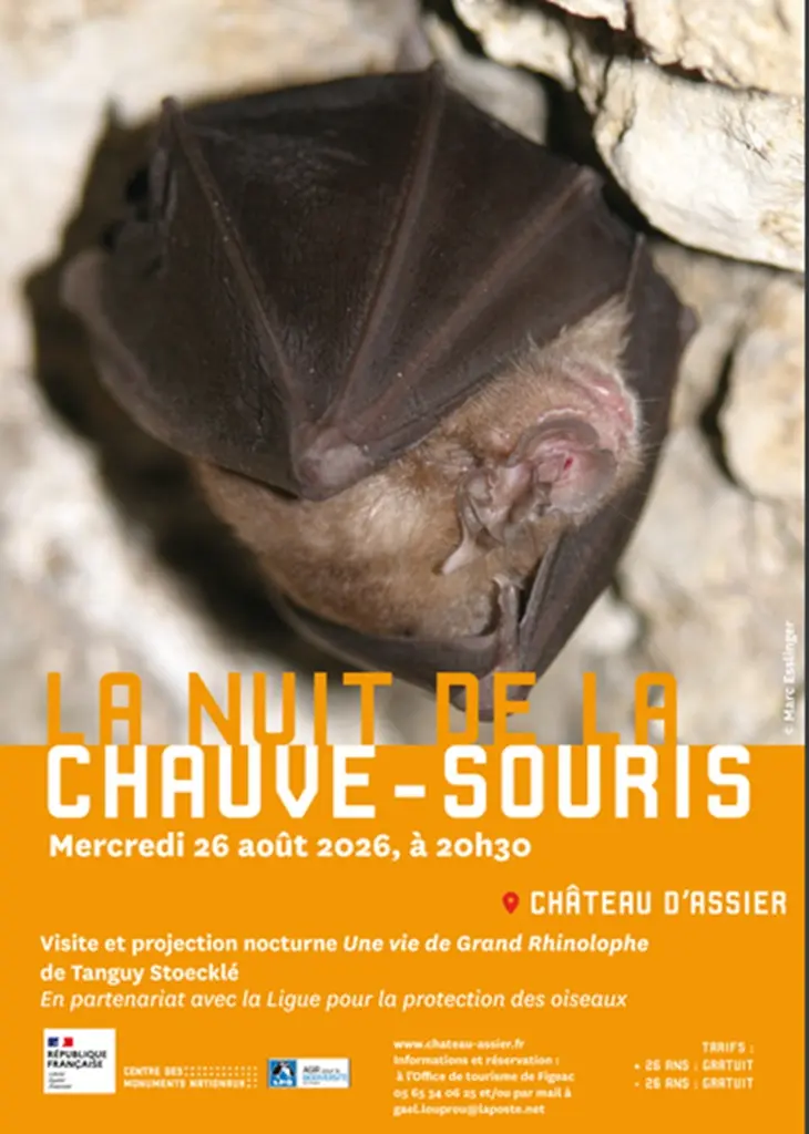 nuit de la chauve souris