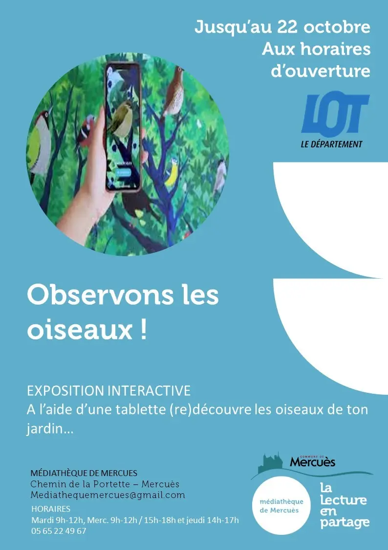 oiseaux