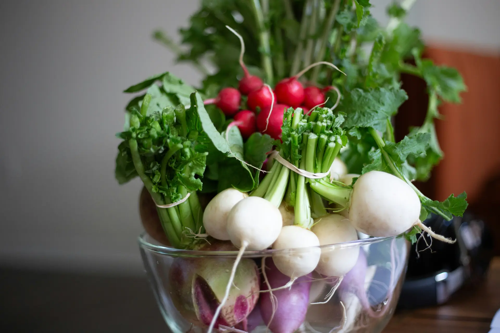 omar-roque-PLANTS L2GUMES